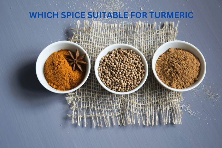 SPICE SUITABLE FOR TURMERIC